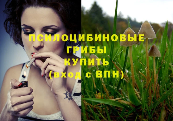 прущая мука Лиски