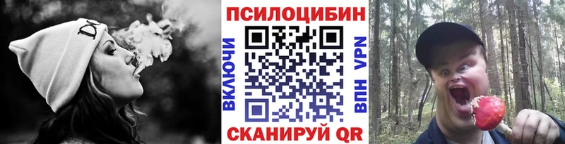 Псилоцибиновые грибы Psilocybine cubensis  Сычёвка 